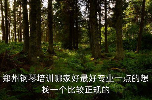 郑州钢琴艺考培训哪家好，郑州钢琴培训哪家好最好专业一点的想找一个比较正规的