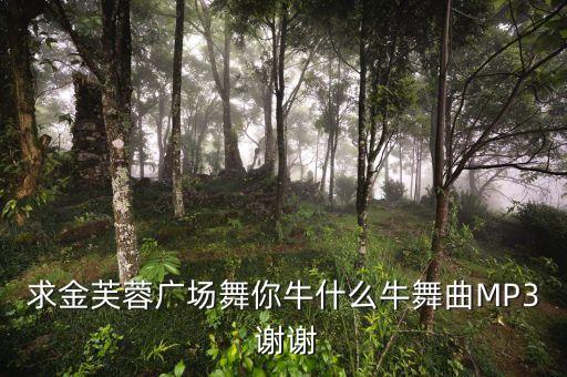 求金芙蓉广场舞你牛什么牛舞曲MP3 谢谢