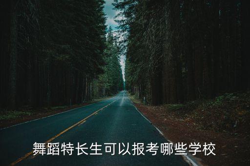 舞蹈艺术生可以上的大学有哪些，舞蹈艺术生适合考那些综合类的大学