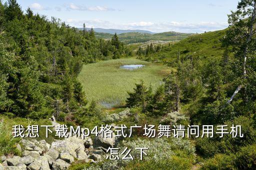 广场舞mp4一般在哪里下载软件，我想下载Mp4格式广场舞请问用手机怎么下