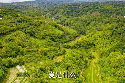 云裳广场舞爱是什么，爱是什么125