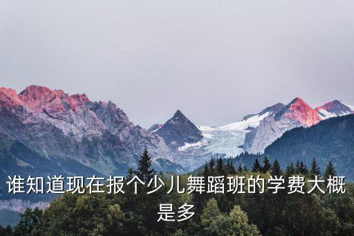 成都少儿舞蹈学费多少，成都少儿街舞