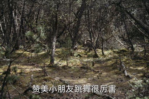 小朋友舞蹈表演后的表扬语，孩子在舞台上跳的舞蹈妈妈应该怎么赞美她
