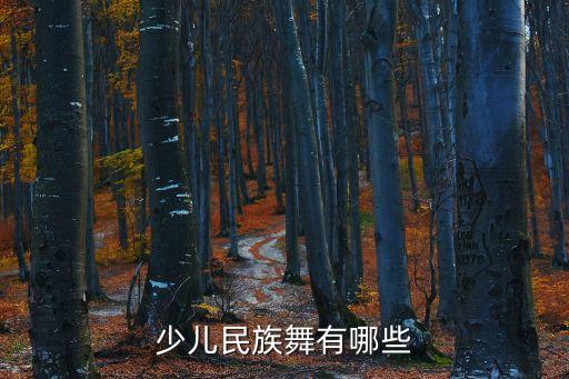 少儿民族舞有哪些