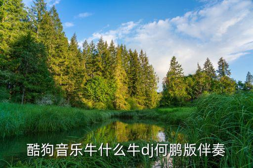 男人牛什么牛歌曲下载，酷狗音乐牛什么牛dj何鹏版伴奏