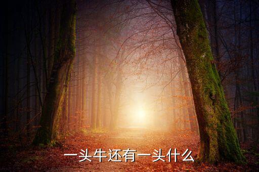 一头牛还有一头什么
