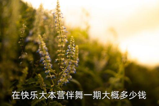 在快乐大本营伴舞一期大概多少钱