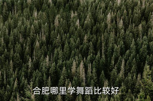 合肥哪里学中国舞好，合肥舞蹈学校哪家好