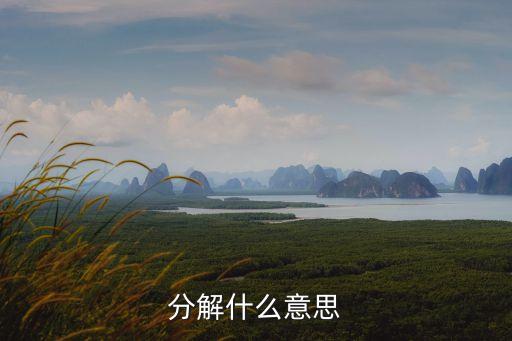 分解 如何翻译，分解是什么意思