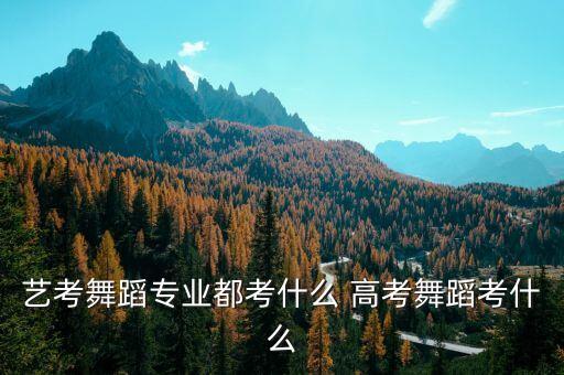 艺术高中舞蹈专业，高考艺术类有哪些专业