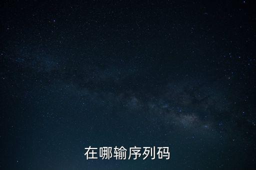 在哪输序列码