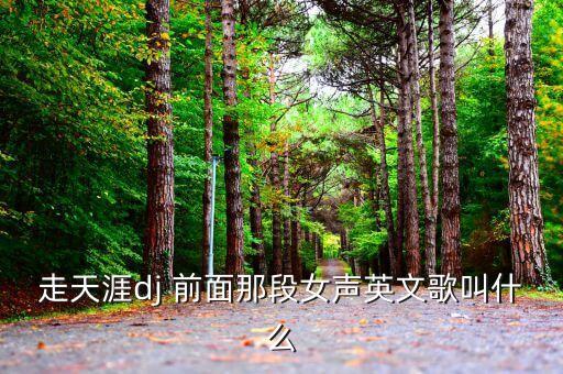 闯天涯dj伴奏是什么，走天涯dj 前面那段女声英文歌叫什么