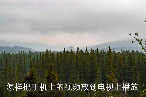 怎样把手机上的视频放到电视上播放