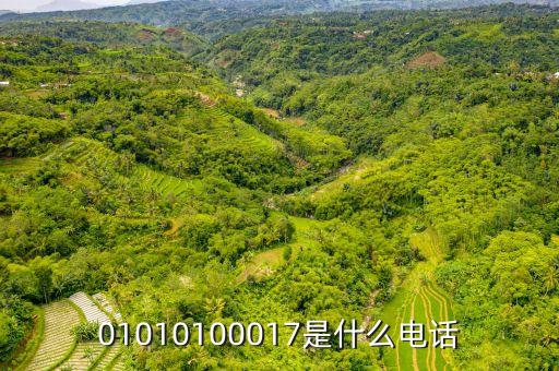 01010100017是什么电话