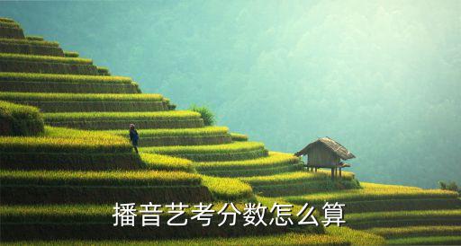 中考艺考播音主持加多少分，播音艺考分数怎么算