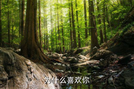 为什么喜欢你