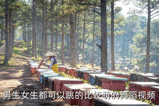 男生女生都可以跳的比较萌的舞蹈视频