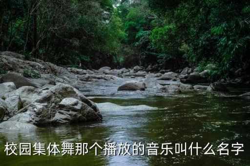 校园集体舞那个播放的音乐叫什么名字