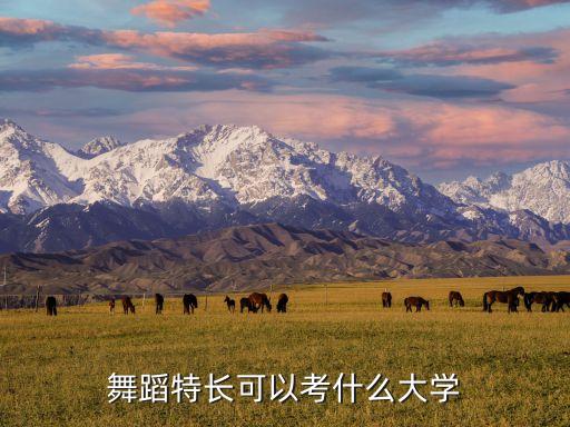 舞蹈特长可以考什么大学