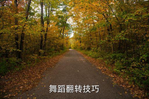 舞蹈翻转技巧