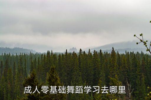 成人零基础舞蹈学习去哪里