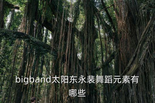 bigband太阳东永裴舞蹈元素有哪些