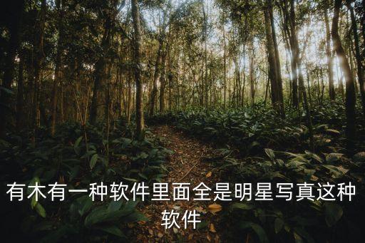 有木有一种软件里面全是明星写真这种软件
