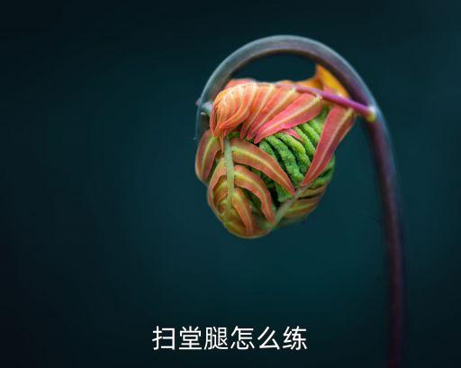 如何训练扫腿，扫腿怎么练