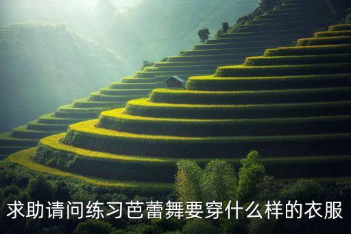 求助请问练习芭蕾舞要穿什么样的衣服