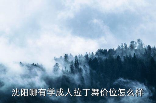 沈阳哪有学成人拉丁舞价位怎么样