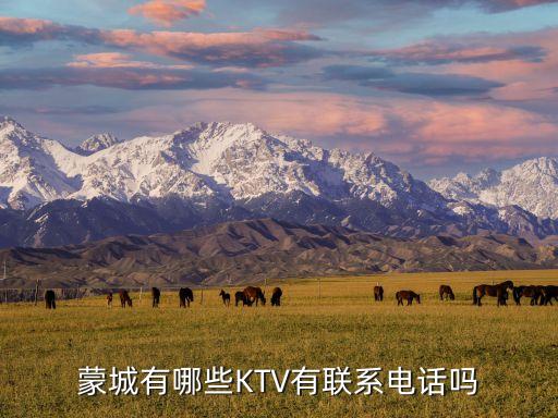 蒙城有哪些KTV有联系电话吗
