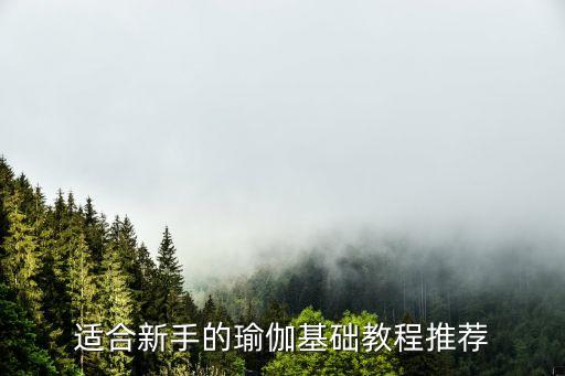 适合新手的瑜伽基础教程推荐