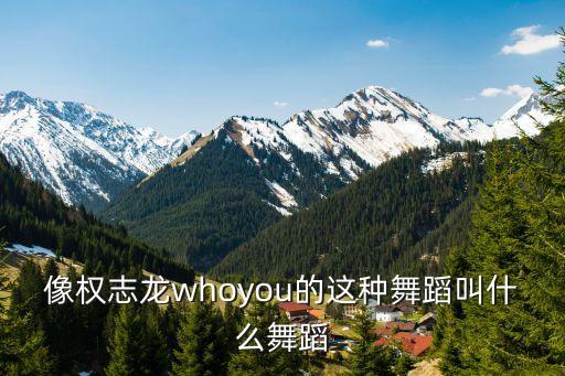 像权志龙whoyou的这种舞蹈叫什么舞蹈