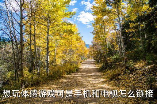 想玩体感游戏可是手机和电视怎么链接