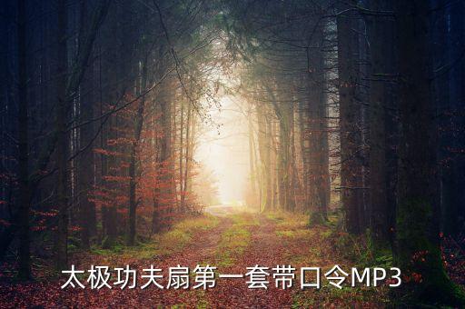 太极功夫扇第一套带口令MP3