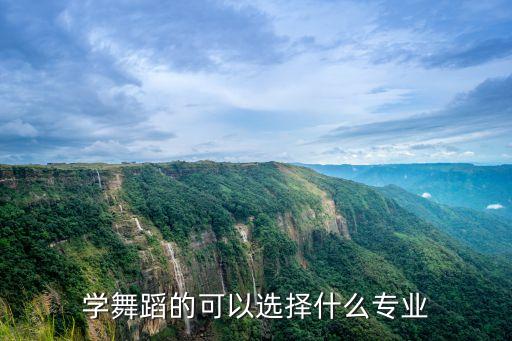 学舞蹈的可以选择什么专业