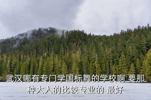 武汉哪有专门学国标舞的学校啊 要那种大人的比较专业的 最好