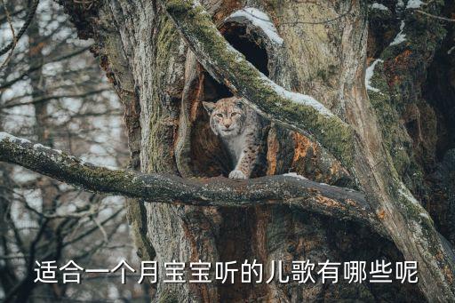适合一个月宝宝听的儿歌有哪些呢