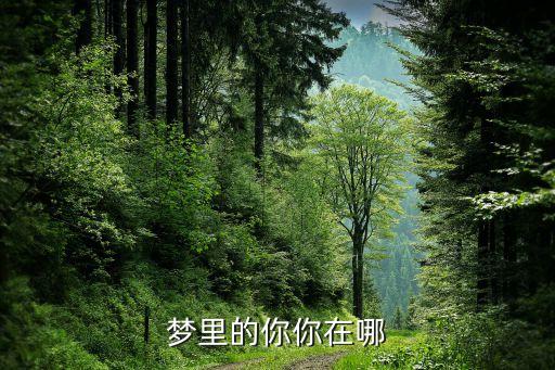 梦里的你你在哪