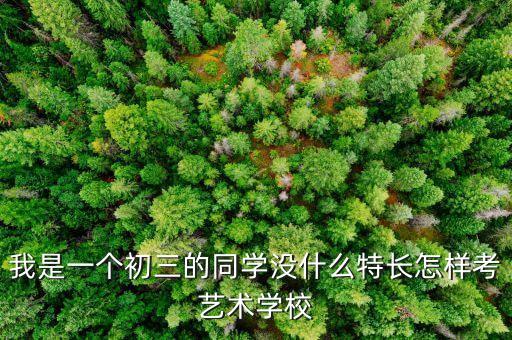 我是一个初三的同学没什么特长怎样考艺术学校