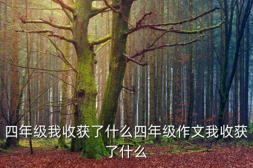 四午级成长收获了什么，小学四年级的收获 600字左右 急急急急
