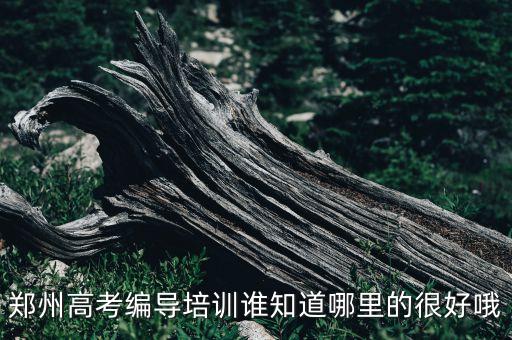 郑州编导艺考哪个机构好，郑州编导高考培训哪家比较好啊谁知道啊谢谢了