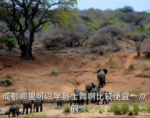 成都哪里学跳舞便宜，成都哪里可以学爵士舞啊比较便宜一点的