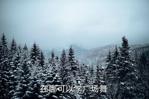 在哪可以学广场舞