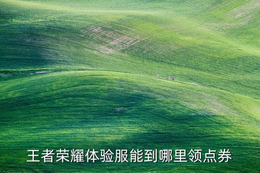 王者荣耀体验服能到哪里领点券