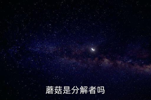蘑菇是分解者吗