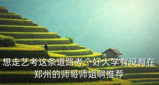 想走艺考这条道路考个好大学有没有在郑州的师哥师姐啊推荐