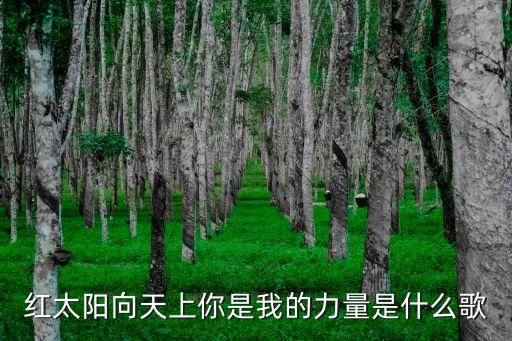 红太阳向天上你是我的力量是什么歌