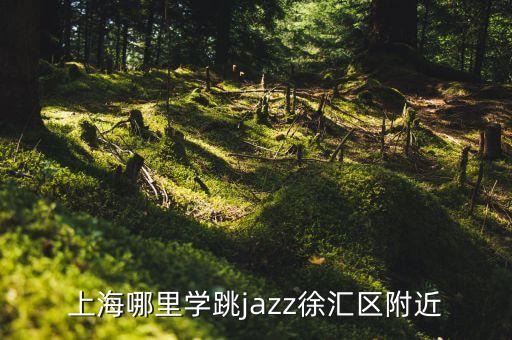 上海哪里学跳jazz徐汇区附近