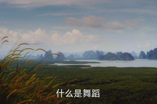 什么是舞蹈